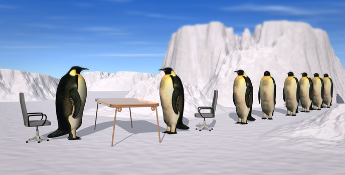 entretien-recrutement-pinguin-cover